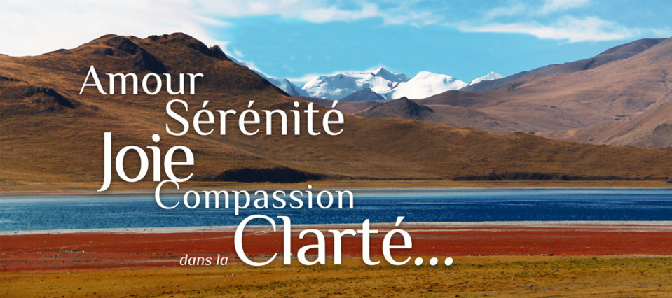 Lancement du site www.selim-aissel.com le 17 juillet 2013 Lancement du site www.selim-aissel.com le 17 juillet 2013